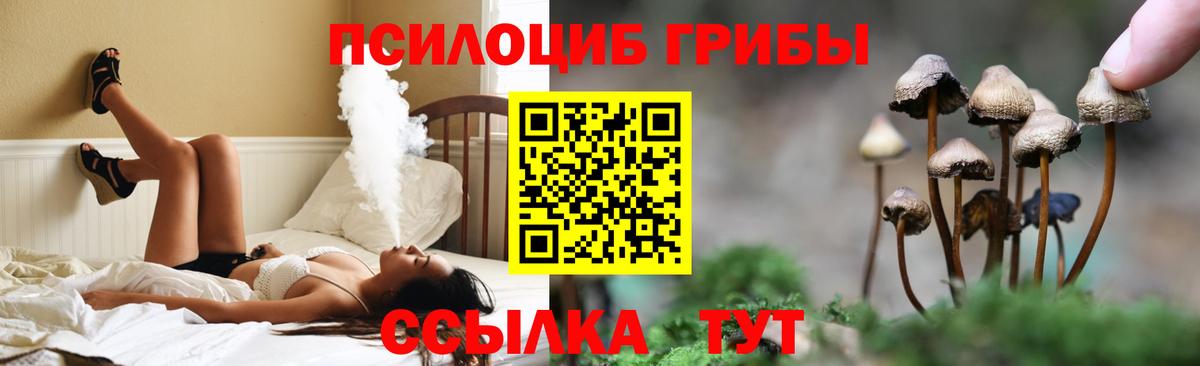 Галлюциногенные грибы Cubensis  Вход с VPN  Соль-Илецк 
